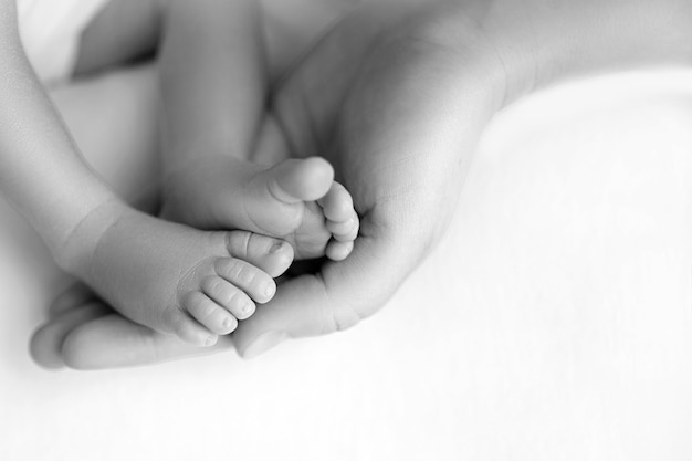 Feet of the newborn in the hands of mom close up. Mom and her child. A beautiful conceptual image of motherhood.