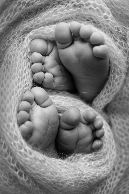 Feet of newborn twins. Two pairs of baby feet in a knitted blanket. Close up - toes, heels and feet of a newborn. Newborn brothers, sisters. Studio macro photography. Black and white photography.