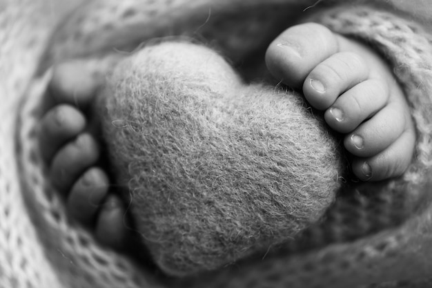 Feet of a newborn with a woolen heart, wrapped in a soft blanket. Black and white studio photography. High quality photo