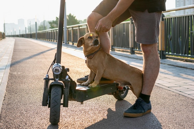 写真 街で電気スクーターで小さな可愛い犬と一緒に1本の足で立ち止まる男の足