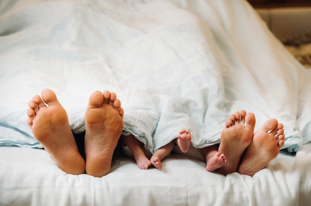 The feet of parents and young children under the blanket. Mom and dad with children lie under a blanket at home.