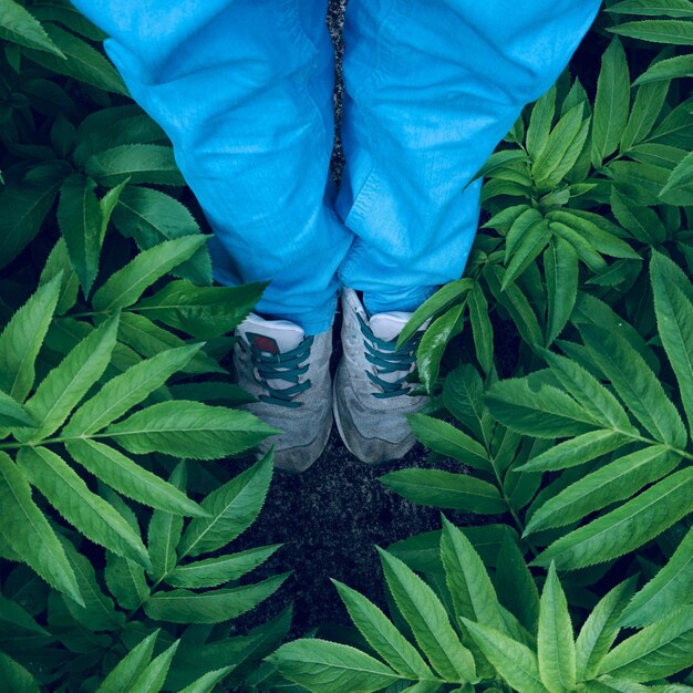 feet with sneakers on the ground in the street        