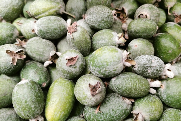 Feijoa fruit Acca sellowiana groene exotisch fruit achtergrond