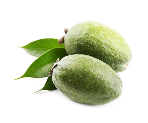 Feijoa 흰색 절연