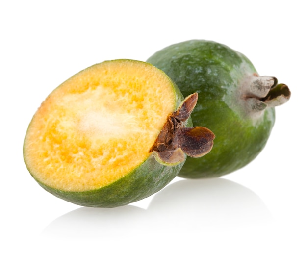 Feijoa