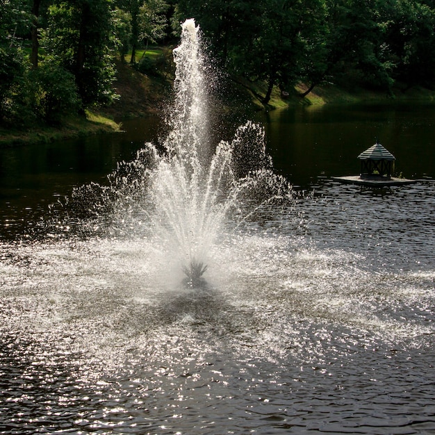 Foto fel licht fontein in het meer tegen de achtergrond van bomen