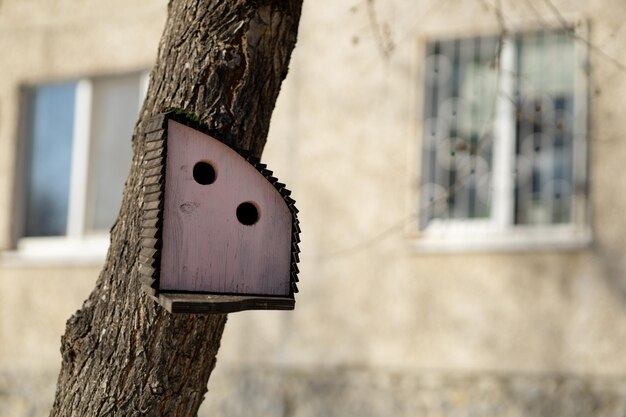 Fel veelkleurig huis voor vogels die aan een boom hangen