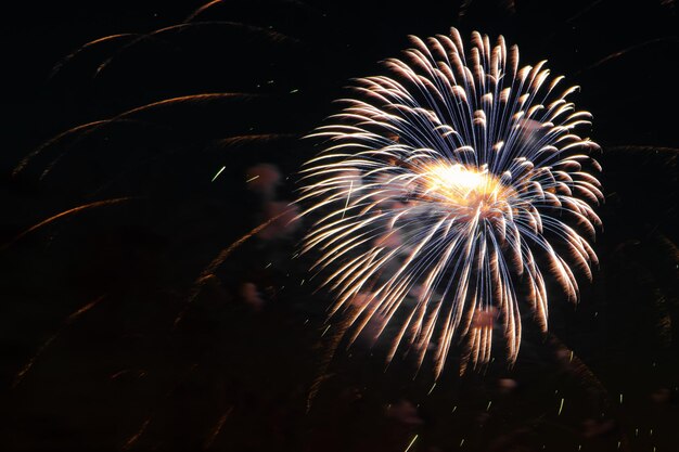 Felgekleurd vuurwerk op een feestelijke avond Explosies van gekleurd vuur in de lucht