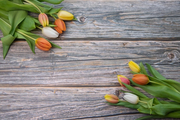 felgekleurde tulpen op een grijze houten ondergrond