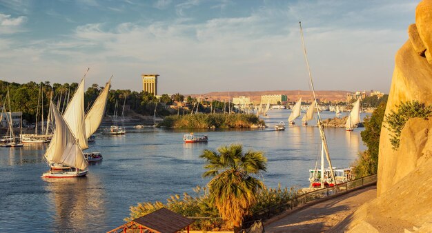 Felucca-boten op de rivier de Nijl in Aswan