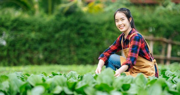 有機野菜農場で働く女性農業者