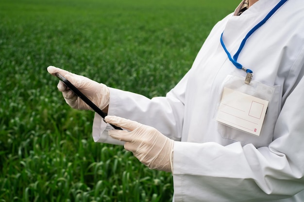 a female agronomist in a white coat checks the growth of plants in the field