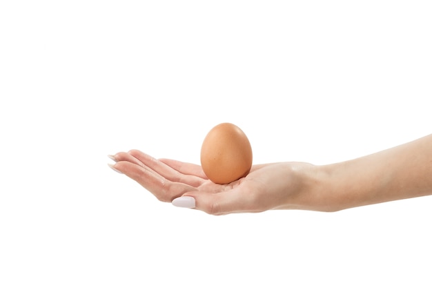 female arm holds chicken egg in palm on white background