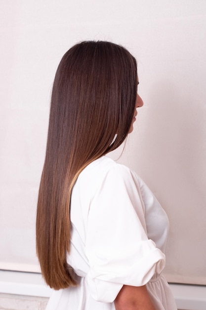 Female back with long straight brunette hair in hairdressing salon