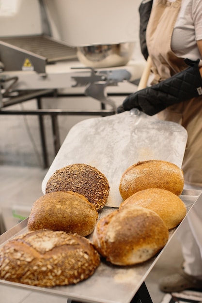 Female baker using a peel to take out a loaf of bread of the oven in a bakery