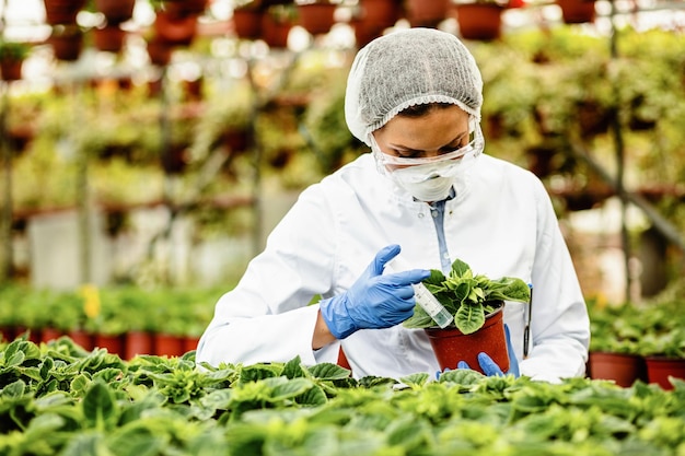 Biotecnologo femminile con siringa che inietta fertilizzante in vasi di fiori in un vivaio