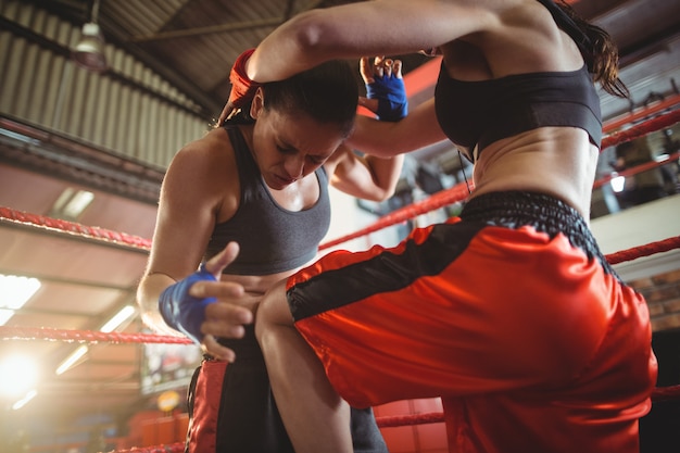 Female boxers fighting in boxing ring