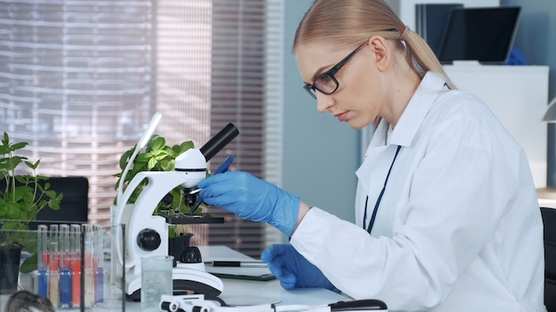 Female chemistry professor using tweezers to put organic material on slide and look under the microscope