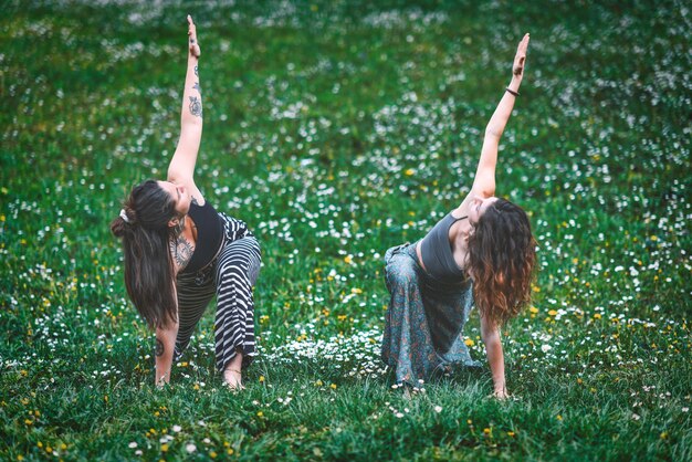 Photo female couple in a sports yoga practice