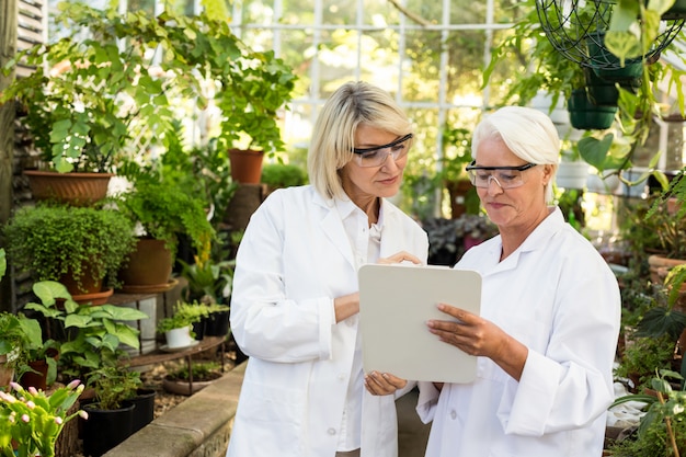 Female coworkers looking in clipboard at greenhouse