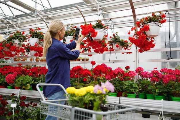 Una cliente femminile di una serra di fiori scatta una foto di fiori su uno smartphone