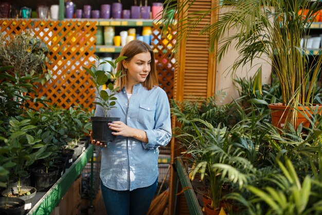 Cliente femminile con fiore in una pentola, negozio di fiorai. donna acquisto di attrezzature in negozio per la floricoltura, acquisto di strumenti di fiorista