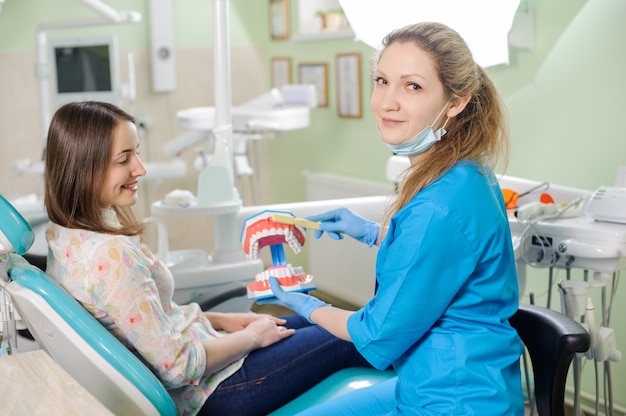 Женский дантист показывая модель зубов челюсти пациенту женщины в клинике дантиста