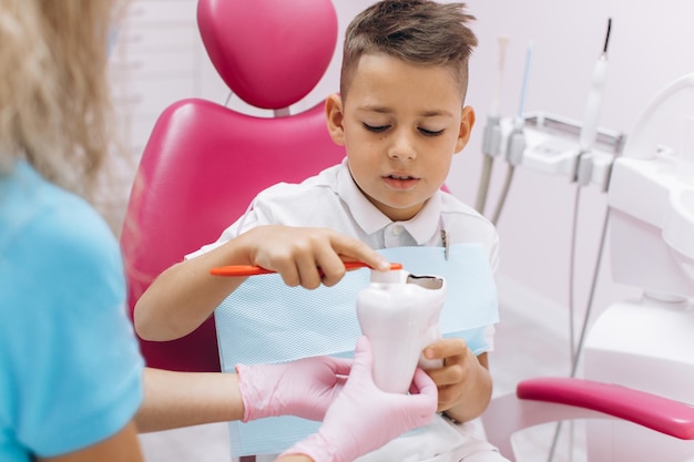 Женщина-дантист показывает мальчику на макете, как правильно чистить зубы