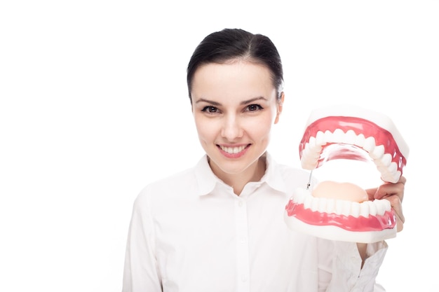 женщина-стоматолог в белой рубашке держит в руках большую челюсть с зубами на белом фоне