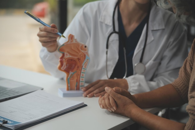 Female doctor explaining to patient results of model the process of patients Diagnosis of diseases for Model Internal organ