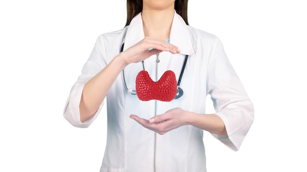 Female doctor holding virtual Thyroid Gland in hand