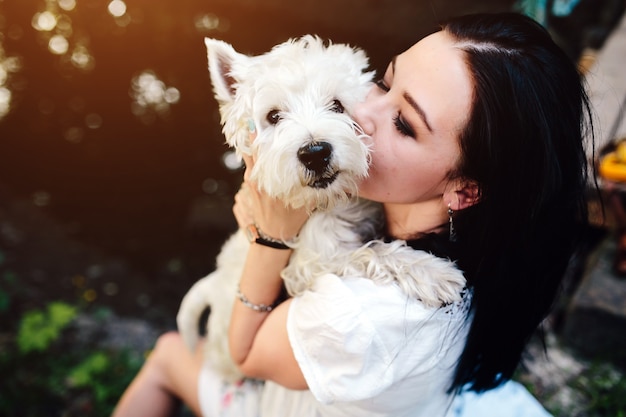 Photo female dog domestic grass summer