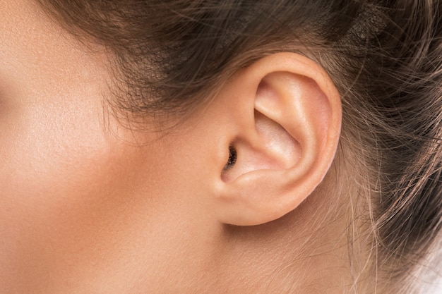 Photo female ear