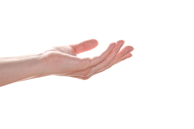 Female european hand with palm up Isolated on white background