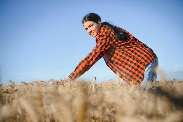 Female farmer analyzing wheat crop