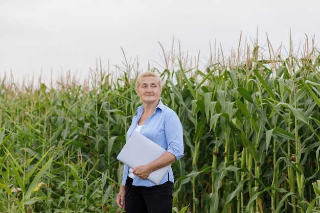 Female farmer in the field checking corn plants during a sunny summer day