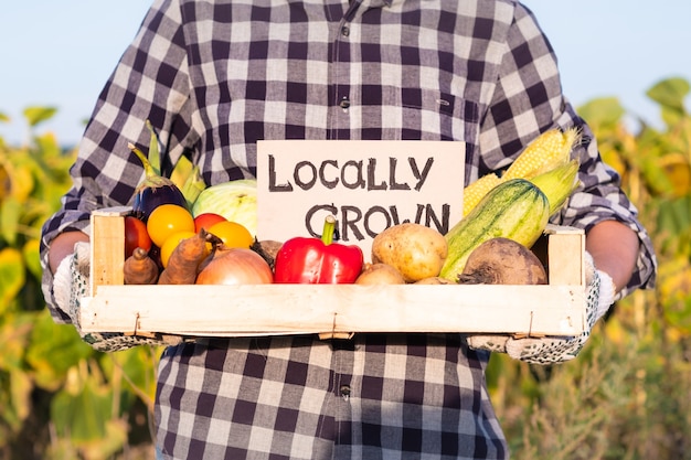 Photo female farmer holding box full of natural organic vegetables. woman with fresh vegetables and 