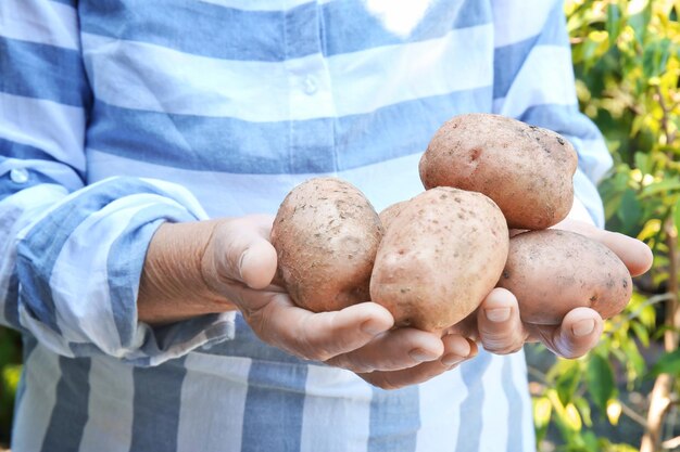 Female farmer holding fresh potatoes outdoors