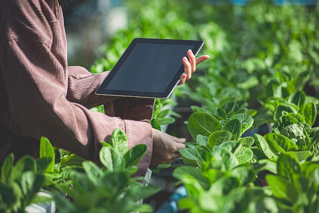 female farmer inspecting her smart farm grain field technology and send data to the cloud from