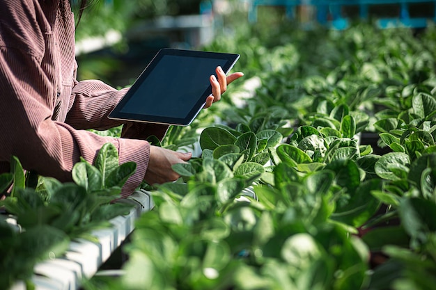 female farmer inspecting her smart farm grain field technology and send data to the cloud from