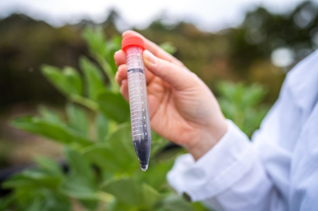 Female farmer scientist researching plants and agricultural research