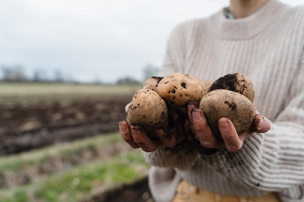 Female farmer showing harvested potatoes in agricultural field area