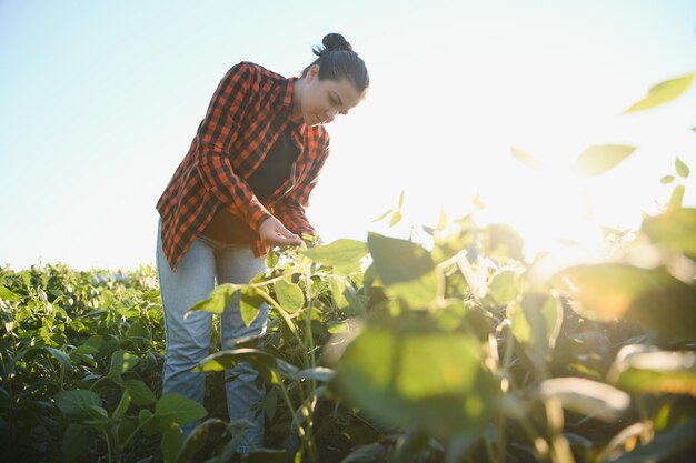 A female farmer in soybean field