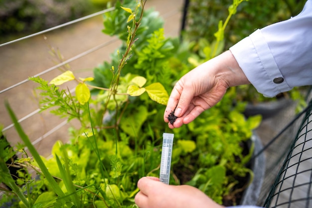 Female farmer studing and growing plants