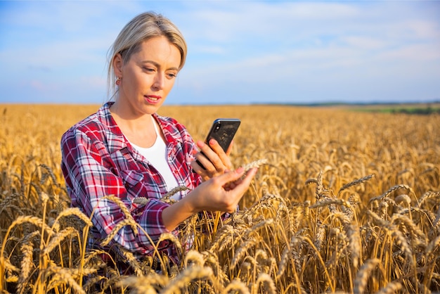 Contadina che utilizza il telefono cellulare nel campo e ispeziona i chicchi di grano per la raccolta