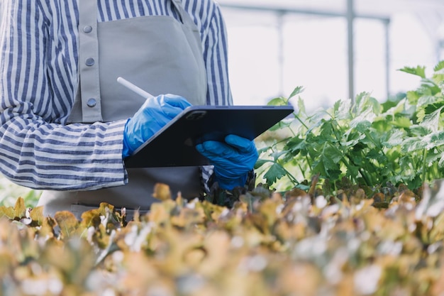 新鮮な野菜とタブレットの木製バスケットを保持している農場で早期に働く女性農家