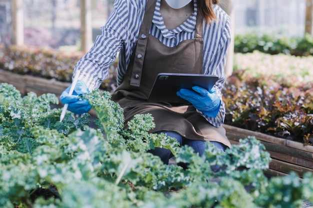 Female farmer working early on farm holding wood basket of fresh vegetables and tablet