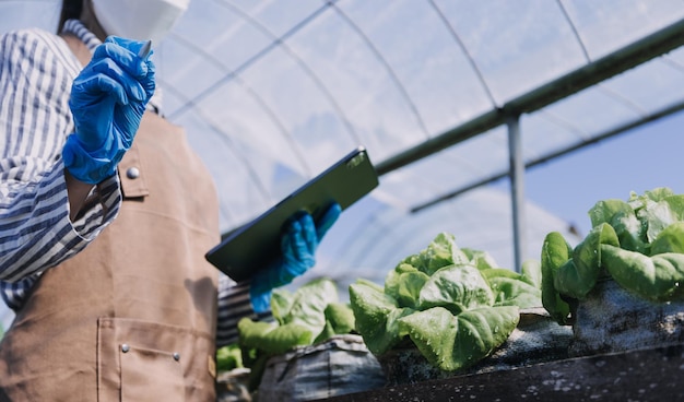 Female farmer working early on farm holding wood basket of fresh vegetables and tablet