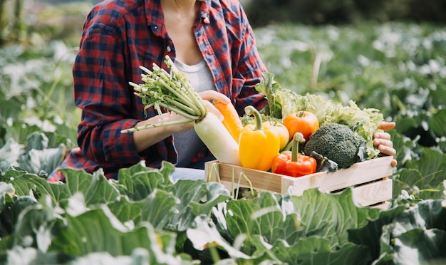 Photo female farmer working early on farm holding wood basket of fresh vegetables and tablet