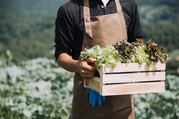 Female farmer working early on farm holding wood basket of fresh vegetables and tablet